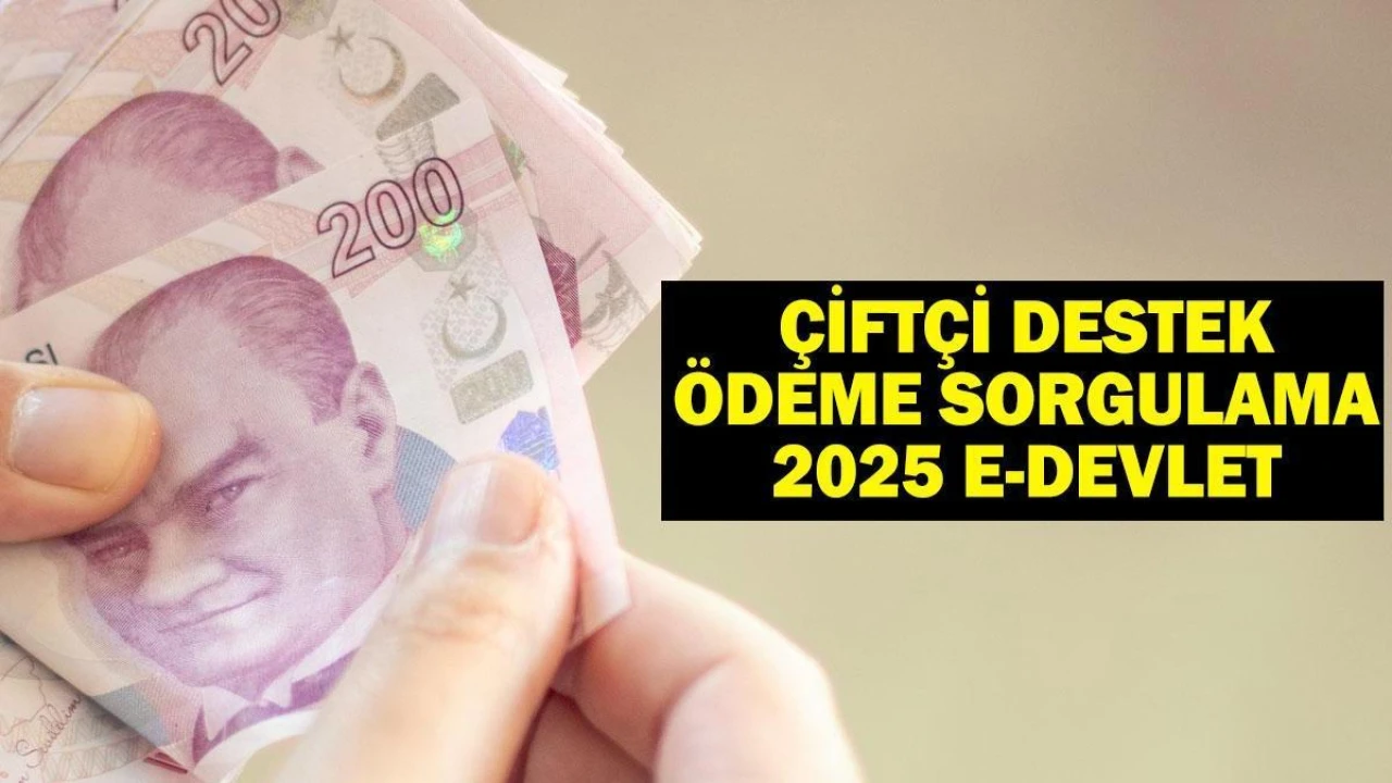 ÇİFTÇİLERİN MERAKLA BEKLEDİĞİ GÜN GELDİ: 2025 TARIMSAL DESTEK ÖDEMELERİ E-DEVLET'TE SORGULANABİLECEK!