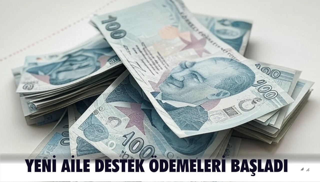 Yeni Aile Destek ödemeleri başladı, Başvuru şartları açıklandı