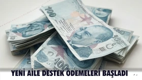 Yeni Aile Destek ödemeleri başladı, Başvuru şartları açıklandı